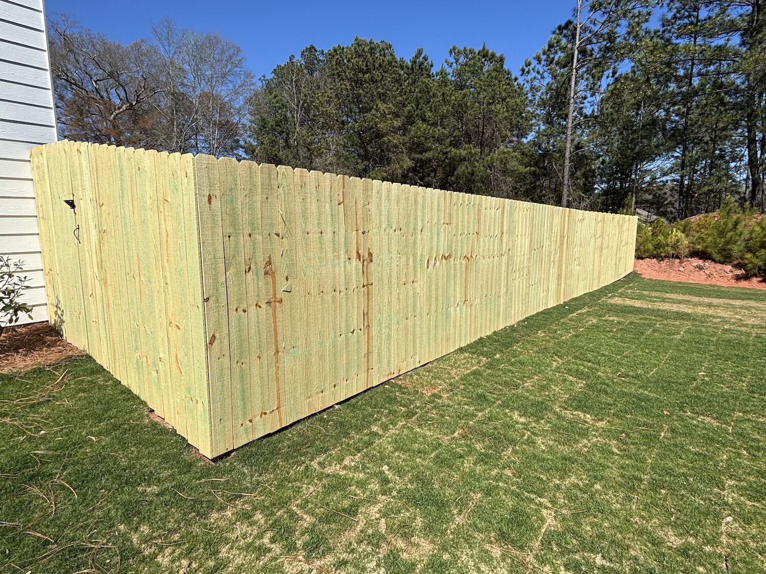 Cedar Fences vs. Pressure Treated Pine Fences